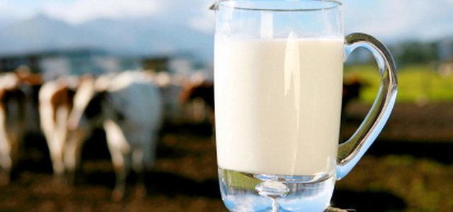 Почему в Украине взлетели цены на молоко