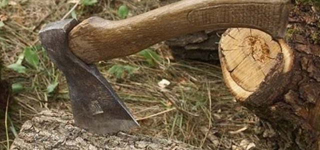 Директора волынского лесхоза уличили в растрате 385 тысяч гривен