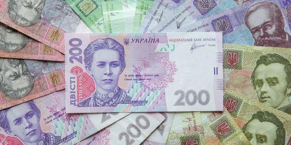 “Наследник” младоолигарха Березенко заработал 173 тысячи за полгода