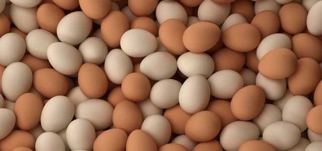 Киевлянин украл яиц на 800 тысяч