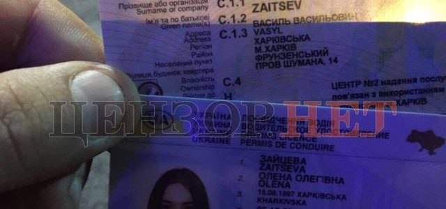 Возможная виновница харьковской аварии Елена Зайцева: семья, связи и “защитники”