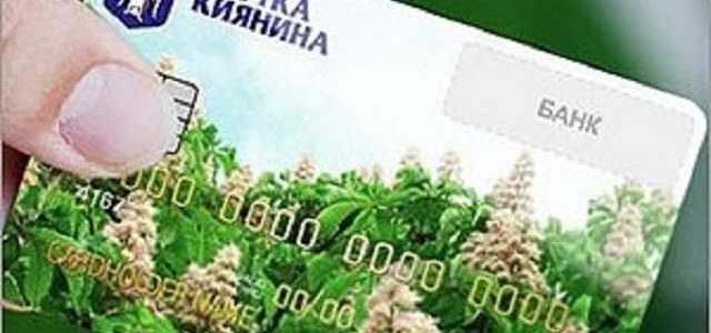 Почему закрывают проект «Карточка киевлянина» и кому не выгоден инструмент борьбы с коррупцией?