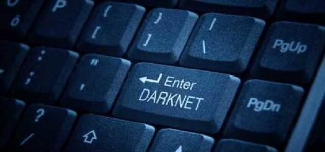 Украинское криминальное трио создало крупнейший киберпритон в «даркнете»