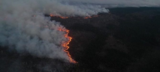 Ситуация с пожарами в Украине может быть спланированной диверсией – МВД