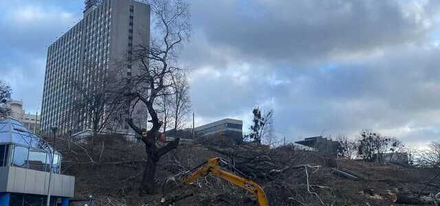 В центре Киева вырубили деревья для строительства элитного ЖК: активисты призвали к протестам против произвола