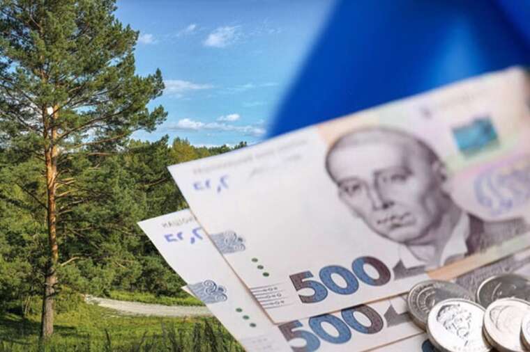 НАЗК виявило незаконне збагачення колишнього очільника столичних лісів на понад 13 мільйонів гривень