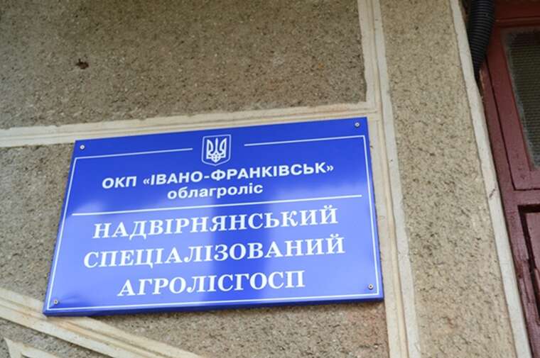 Мільйонні збитки, незаконна вирубка та кримінал: ексочільника Надвірнянського агролісгоспу підозрюють у масштабних зловживаннях