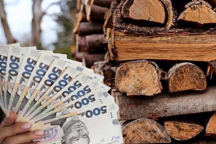 Дерибан на дровах для ЗСУ на понад 2 мільярди гривень: п’ять керівників КЕВ звільнено, розпочато кримінальні справи