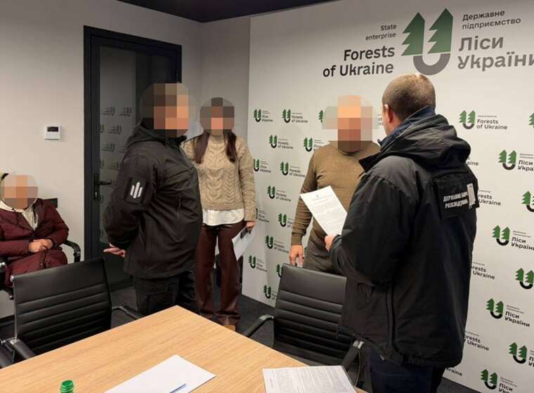 13 тисяч гектарів за 25 тисяч доларів: ДБР викрило топпосадовця Держлісагентства на Одещині